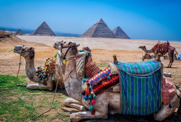 Фотогалерея туров в Египет, фото 1