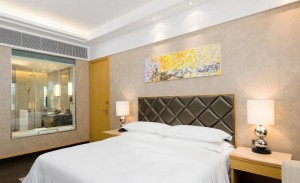 Увеличить фото отеля Хайнань, Four Points By Sheraton Hainan Sanya 5* №69